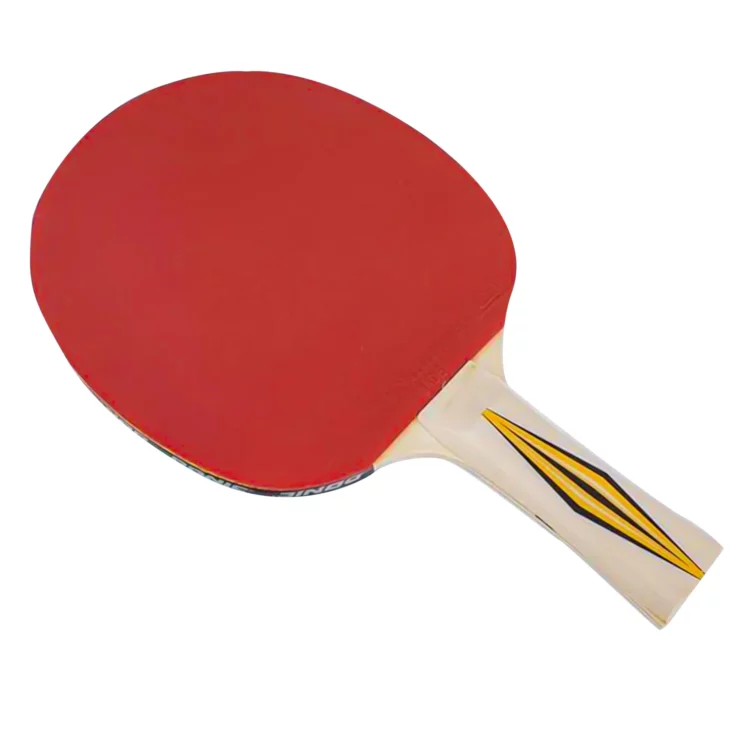 PALETA PARA PING PONG DONIC TOP TEAM 300 - Imagen 3